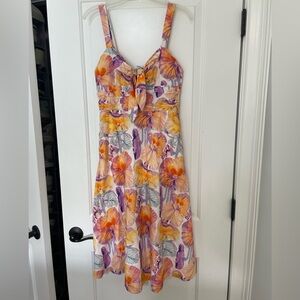 Anthropologie Cecilia Peterson dress size 2.